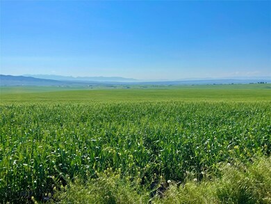 Borders wheat field on east side - views looking t