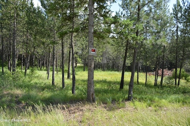 NKA Sylvan, Athol, ID 83801 - photo 5