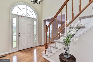 14724 Carona Dr, Silver Spring, MD 20905 - photo 4