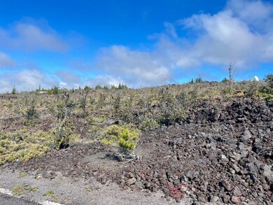 Pretty lot with a mix of vegetation