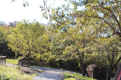 IMG_2023 - Copy