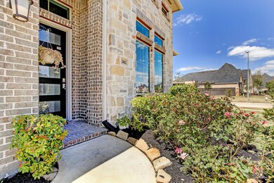 3802 Lake Falls Dr, Fulshear, TX 77441 - photo 4