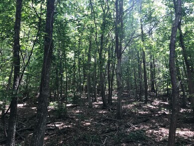 0 Chamberlain Rd unit 1301774, La Fayette, GA 30728 - photo 3