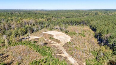 0 Bridges Rd, Carlton, GA 30627 - photo 6