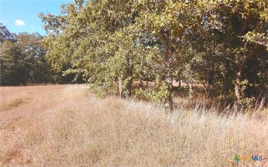 2565 Five Mile & Hwy 95 Rd, Flatonia, TX 78941 - photo 5