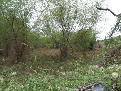 0 E Mile 12 N, Progreso Lakes, TX 78596 - photo 4