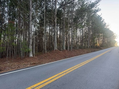 0 Clem Lowell Rd unit 147578, Carrollton, GA 30116 - photo 3