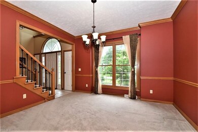 350 Walnut Ridge Trail, Aurora, OH 44202 - photo 4