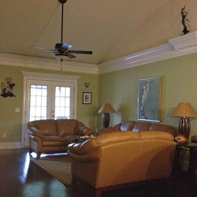 cozy living room