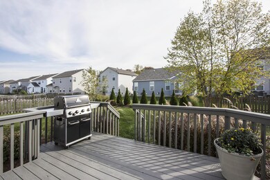 Rear Deck