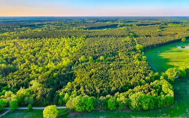 02 Roundup Dr, Johnston, SC 29832 - photo 2