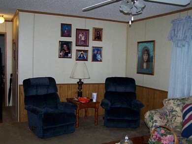 14206 Mineral Springs Rd, West Fork, AR 72774 - photo 6