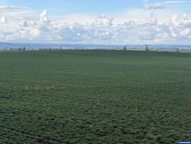 39986 Gisler Rd, Scio, OR 97374 - photo 6