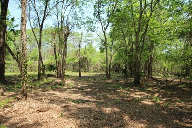 0 County Road 417 Parkway Dr unit 73304911, Dayton, TX 77535 - photo 4