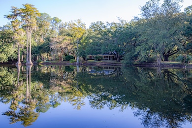 4446 Char-Augusta Rd, Bamberg, SC 29003 - photo 4