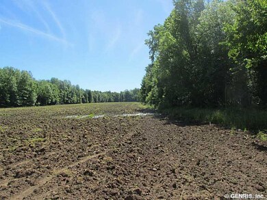 Land/Lot.