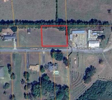 0 Country Club Dr unit 11 & 1/2 of 12, Linden, AL 36748 - photo 6