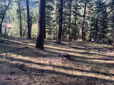 0 Canyon Trail unit 85 168237, Cloudcroft, NM 88317 - photo 7