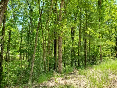 PAR 1 Grant, Bitely, MI 49309 - photo 2