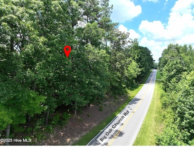 0 State 24, Eagle Springs, NC 27242 - photo 4