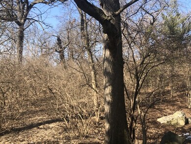 957 Watercress Dr, Naperville, IL 60540 - photo 2