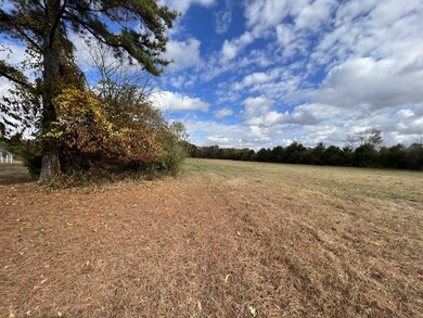 2749 Sims Rd, Shelbyville, TN 37160 - photo 3