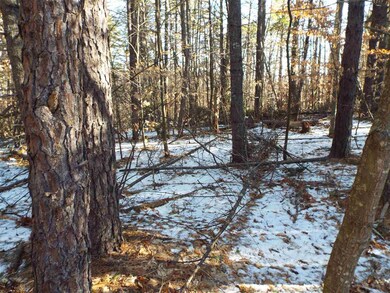 117 Gorman Terrace, Wakefield, NH 03872 - photo 4