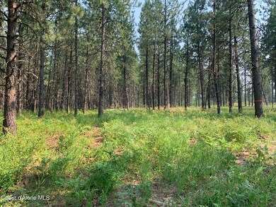 32606 N Sheep Springs Rd, Athol, ID 83801 - photo 3