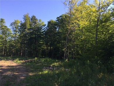 Privacy and seclusion, yet close enough to Rte 104