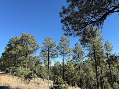 Lot 6 El Camino Dr, Alto, NM 88312 - photo 4