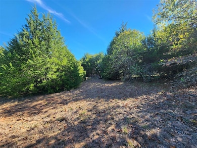View of local wilderness