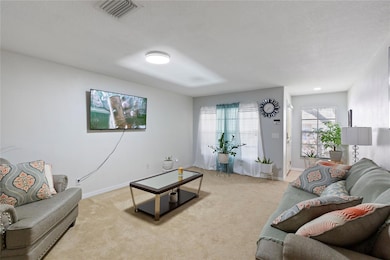 10901 Brickside Ct, Riverview, FL 33579 - photo 5