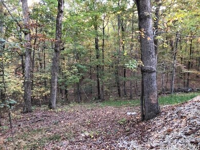 614 Cr 765, Brookland, AR 72417 - photo 5