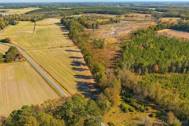 0 Lot 5 Barnesville Church Rd, Orrum, NC 28369 - photo 3