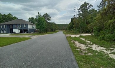 9000 N Lansen Way, Citrus Springs, FL 34433 - photo 4