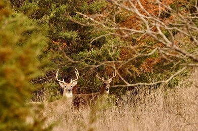 0 New Windsor Pkwy unit 25552739, McGregor, TX 76657 - photo 7