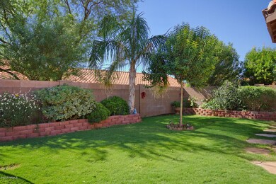 Rear Yard