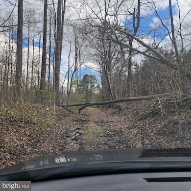 12947 Fletchertown Rd, Bowie, MD 20720 - photo 5