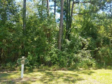 0 Subdivision Rd unit 310512, Lloyd, FL 32344 - photo 6