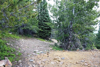 00 Fs-411 1, Black Hawk, CO 80422 - photo 4