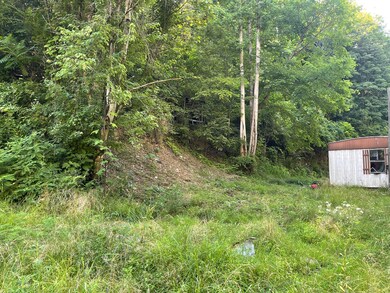 176 Dalewood Rd, Johnson City, TN 37601 - photo 5