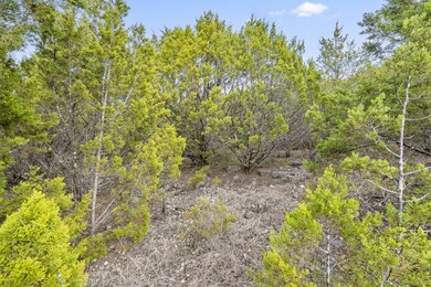 Lot 9 Whiterock Ln, Kimberling City, MO 65686 - photo 4