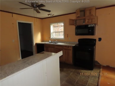 3142 Buffalo Creek Rd, Amherstdale, WV 26507 - photo 6