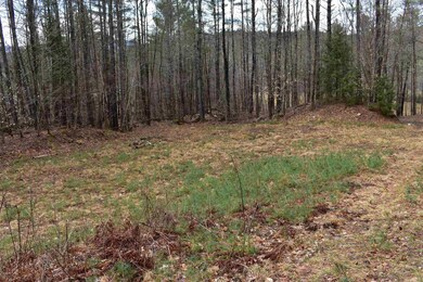 0 E Side Rd unit 4905806, Wentworth, NH 03223 - photo 7