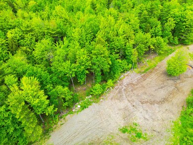23_DJI_0169_DxO_mls
