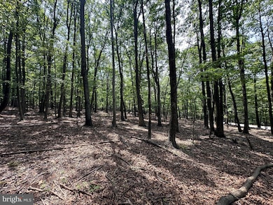 0 Lot A-36 Eagle Mountain, Paw Paw, WV 25434 - photo 6