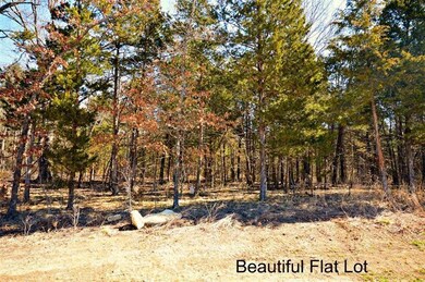 Lot 104 Summer Rd, Ruth B Rural Township, MO 65686 - photo 2