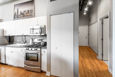 Tower Lofts unit 208, Chicago, IL 60657 - photo 4