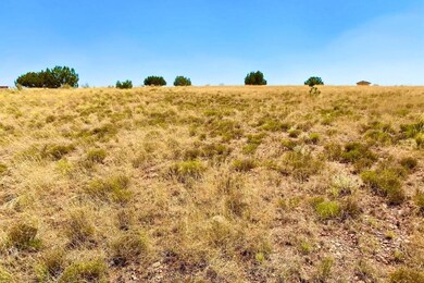 3992 Sorrel Rd, Snowflake, AZ 85937 - photo 7