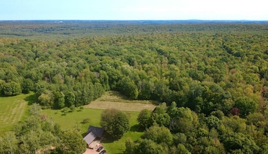 247125 Nehrbass Rd, Athens, WI 54411 - photo 2